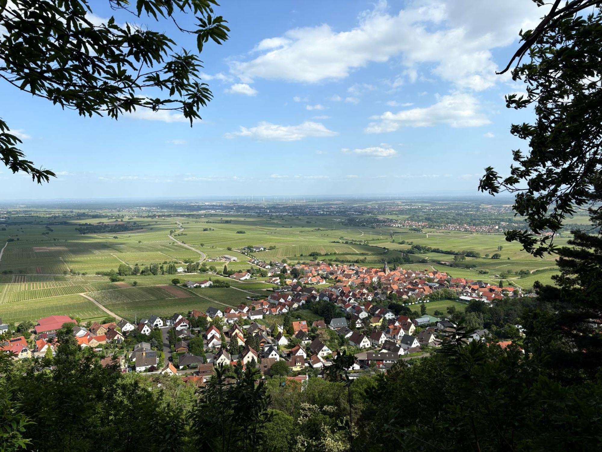 Ferienwohnung Am Ringelsberg Frankweiler Exterior foto